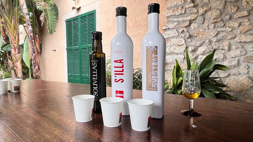 27 Of The Best Things To Do In Alcudia, Mallorca (2023) 21 3 bottles of Olive Oil from Solivellas Olive Farm