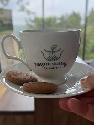 The Best Food In Sri Lanka To Eat (Including 5 Easy Recipes!) 12 Cup of tea with Kelani Valley plantations on it. Two ginger snaps on the side of the saucer