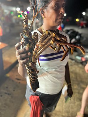 The Best Food In Sri Lanka To Eat (Including 5 Easy Recipes!) 5 lady holding up a fresh lobster in her right hand though she is looking away