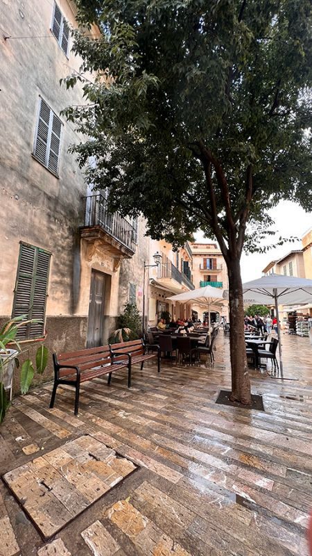 27 Of The Best Things To Do In Alcudia, Mallorca (2023) 4 Seating in Alcudia Old Town with tree in front