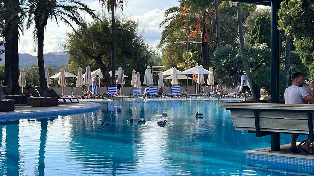 one of the pools at the Portblue Club Pollentia Hotel