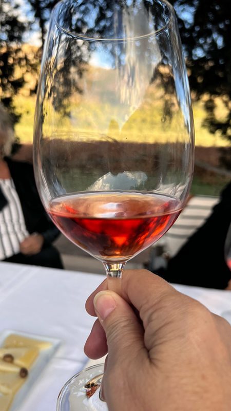 27 Of The Best Things To Do In Alcudia, Mallorca (2023) 18 Son Simo Vello White Wine against the vine leaves