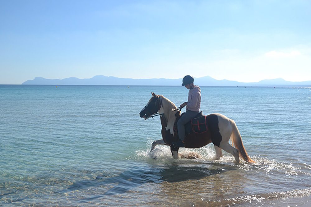 27 Of The Best Things To Do In Alcudia, Mallorca (2023) 22 piebald horse walking through the sea with hills behind