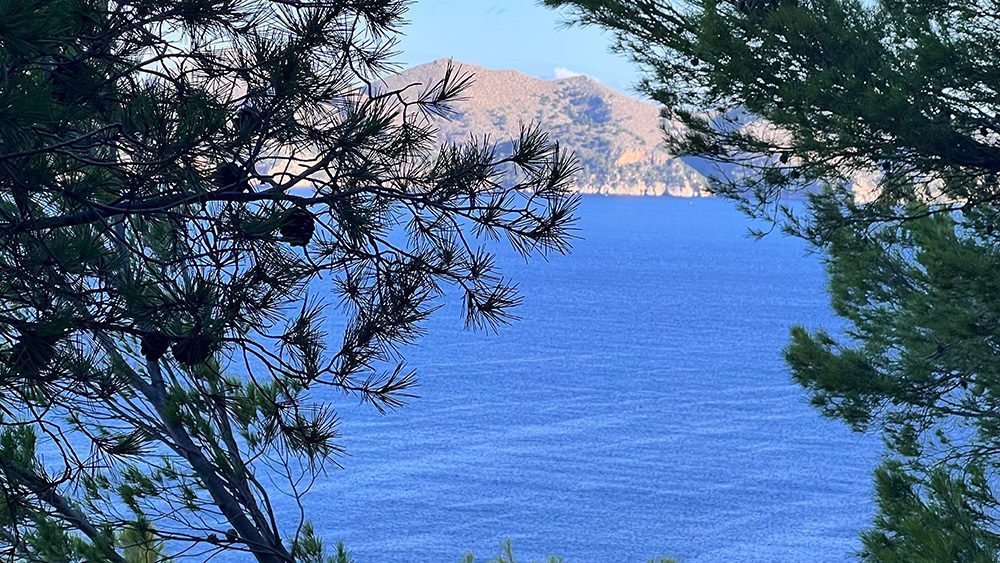 La Vitoria view through pine trees