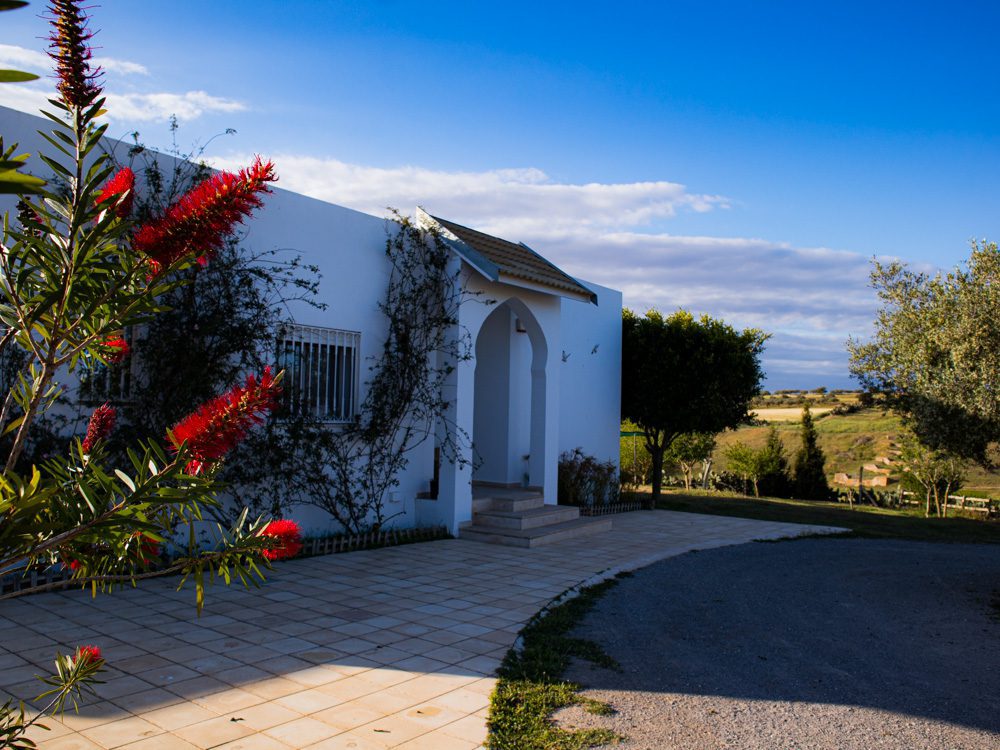 Sawa Taste of Tunisia: Explore the amazing food of Tunisia (2024) 3 White house with tiled patio in front and red plant in the left foreground - the home of Lamia and base for Sawa Taste of Tunisia