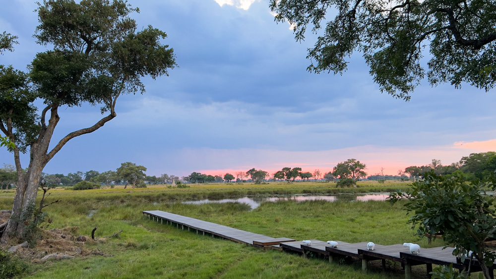 The Luxurious Xaranna Camp By &Amp;Beyond, Okavango Delta, Botswana (2024) 23 the jetty leading down to the lagoon with a pink and blue sky