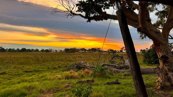 The Luxurious Xaranna Camp by &Beyond, Okavango Delta, Botswana (2024)