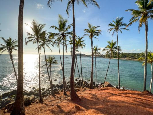 Why Amazing Sri Lanka Should Be Your Next Travel Destination (2025)