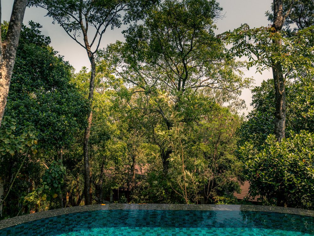 infinity pool at the Mistwood Villa