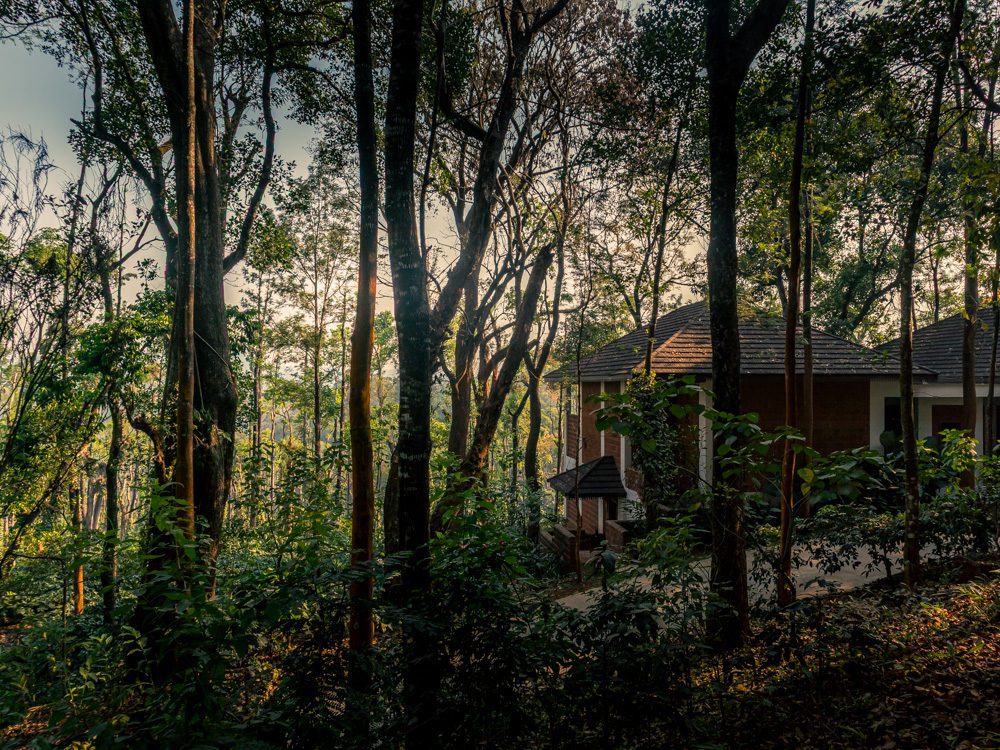 view of trees and villas from the balcony