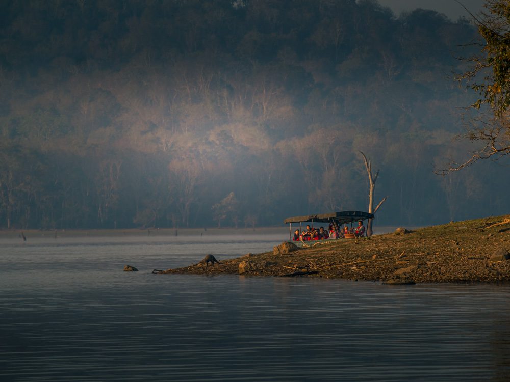 Watching the otter on the banks