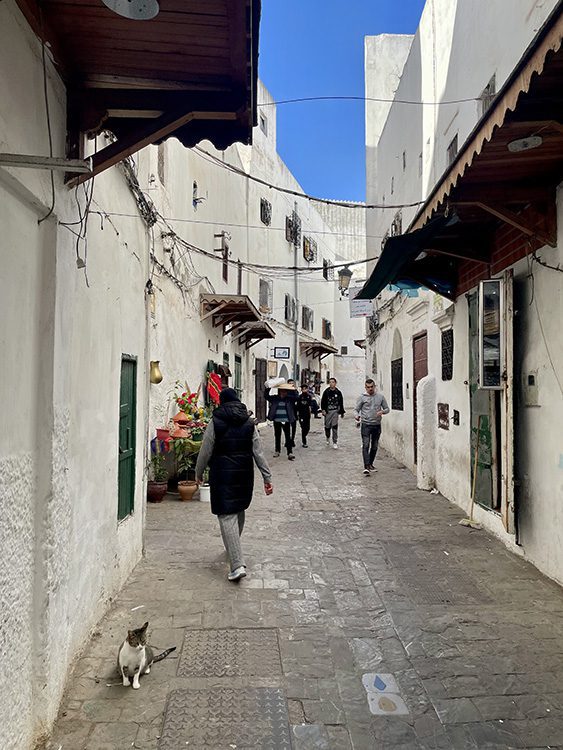 Tetouan - whitewashed houses in a curving alley with men walking and a cat