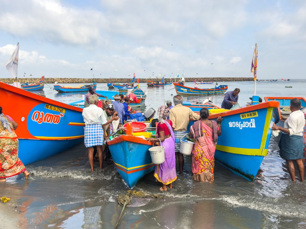 Unloading the boats as they arrive into the harbour
