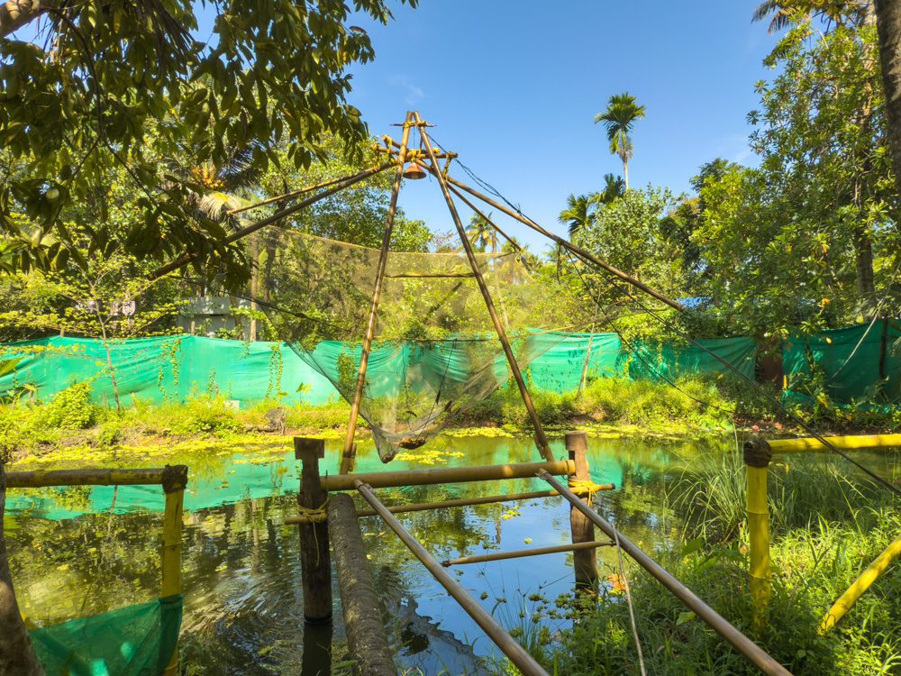 A scaled replica Chinese Fishing Net in the back garden