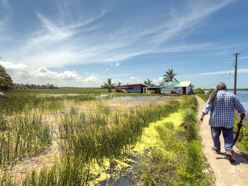 Dax leading the way to the Toddy Shop through the rice paddies