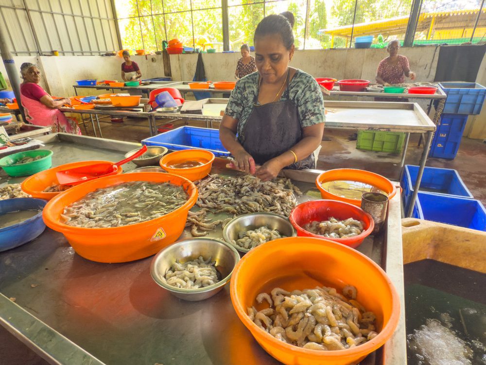 the bowls of shells and peeled prawns
