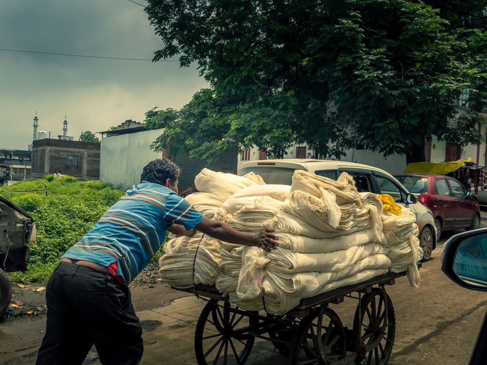 cotton being transported on barrows