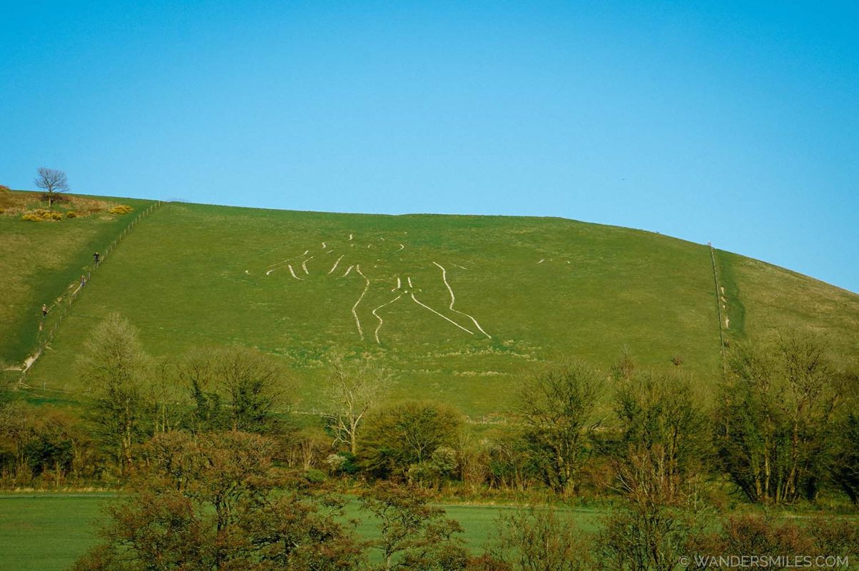 The white chalk Cerne Giant Dorset on the green hill above Cerne Abbas on a sunny day, with trees in the foreground - photo copyright She Wanders Miles