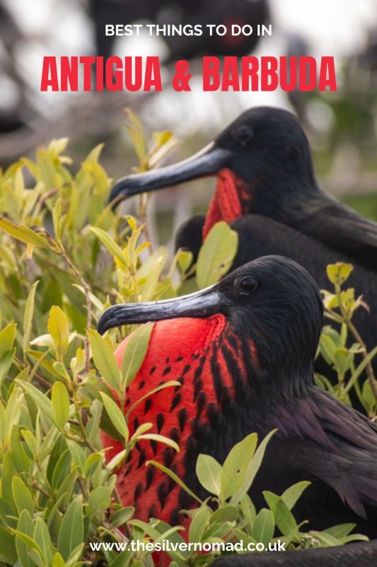 BEST THINGS TO DO IN ANTIGUA & BARBUDA PIN