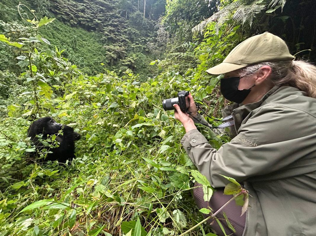 Gorilla Trekking In Bwindi: Everything You Need To Know Before You Go 12 TAKING PHOTOS OF THE BABY