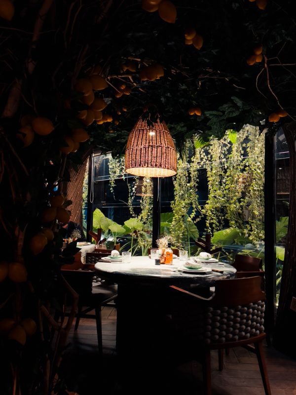Cozy restaurant with lush greenery