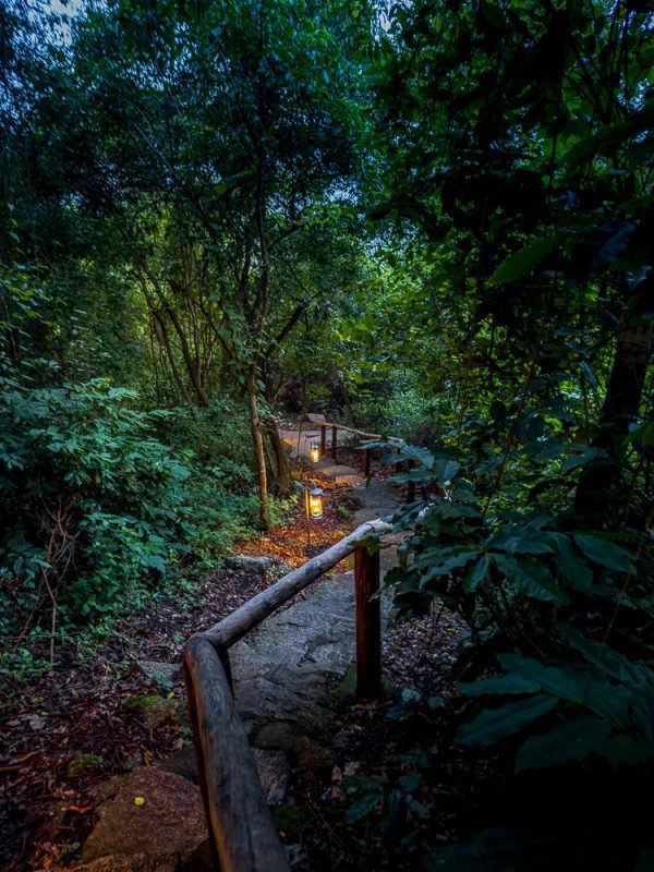 Luxury Stay At Mihingo Lodge, Lake Mburo, Uganda 9 the path to "Waterhole"