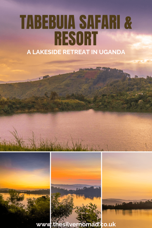 TABEBUIA SAFARI RESORT