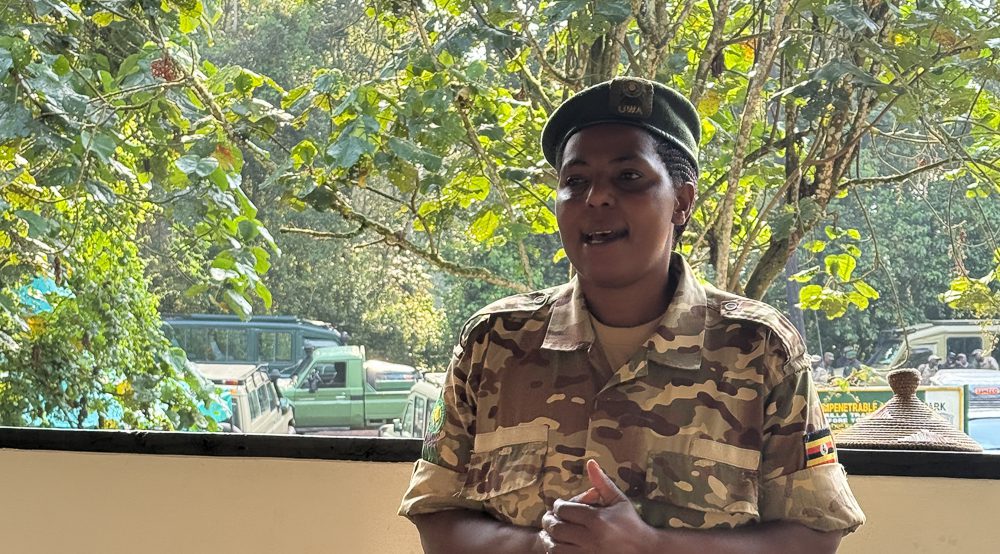 Gorilla Trekking In Bwindi: Everything You Need To Know Before You Go 9 Safety Briefing from one of the rangers