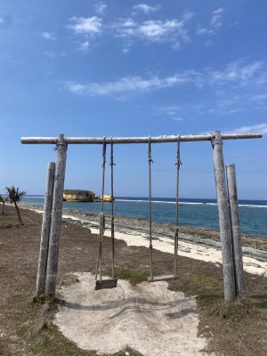 Beach Swing Lombok