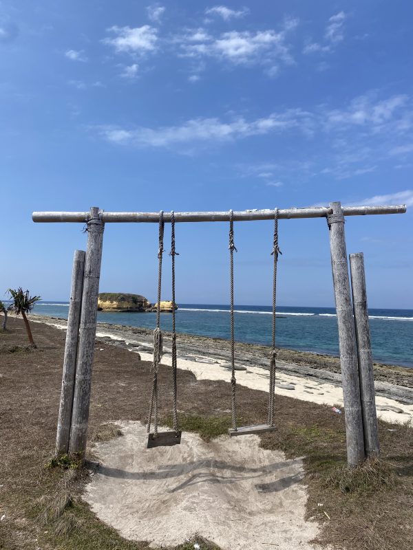 10 Amazing Things To Do In Lombok, Indonesia 1 Beach Swing Lombok