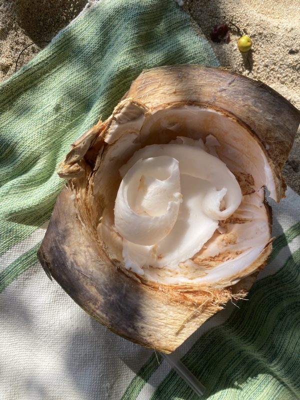 10 Amazing Things To Do In Lombok, Indonesia 13 Coconut - Lombok