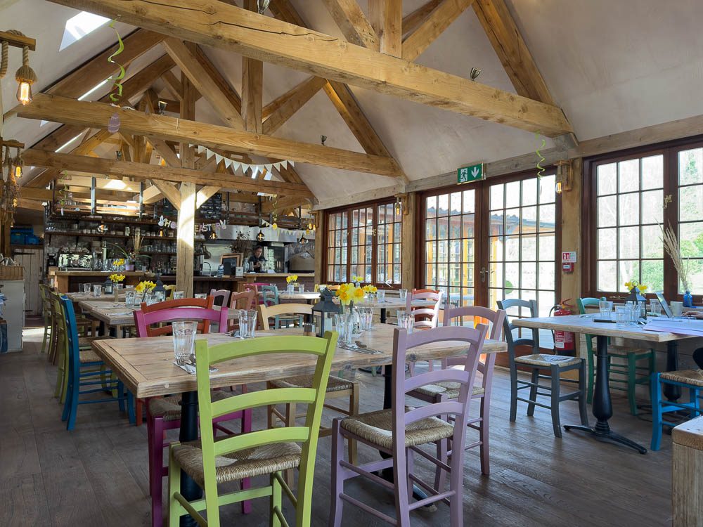 Longevity Ayurveda Retreat With Rina Golan 8 The Flying Pig with colourful chairs and light and airy atmosphere