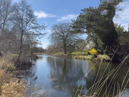 west lexham lake